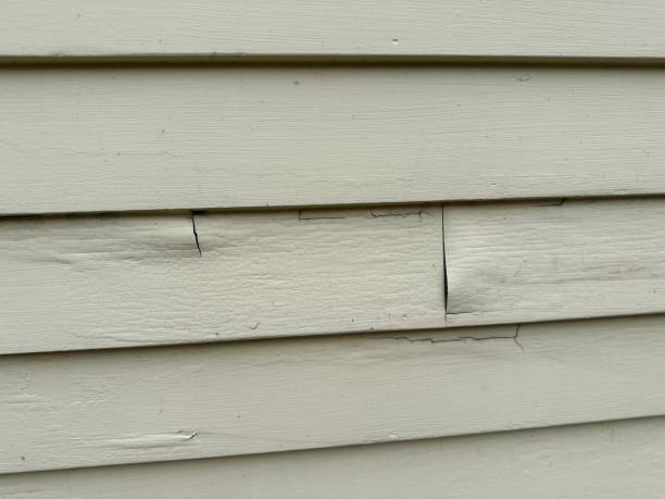 Best Property Management Cleanouts  in Mked Tree, AR